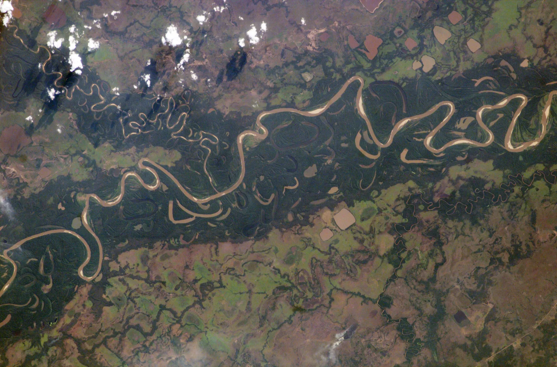 Meandros y antiguos cauces del río Mamoré en Bolivia